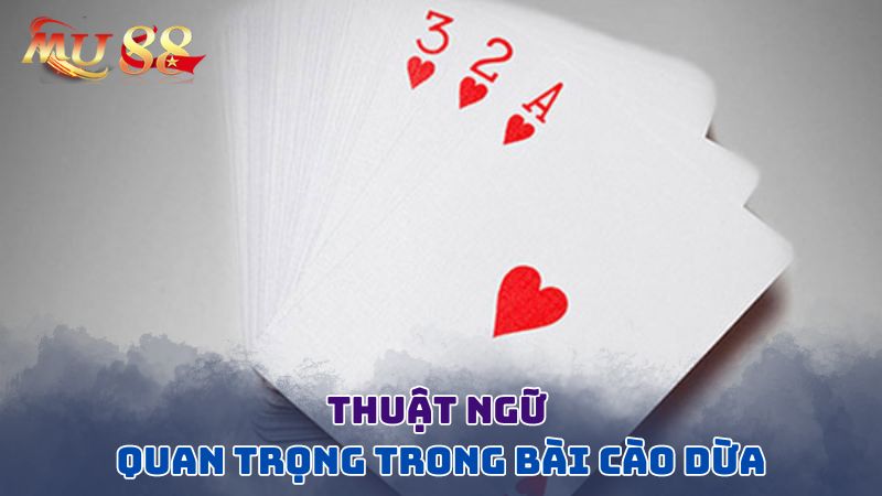 Thuật ngữ quan trọng trong bài cào dừa