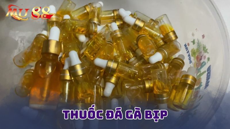 Lý do thuốc đá gà bịp được sử dụng nhiều