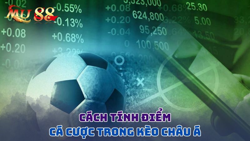 Cách tính điểm cược trong <yoastmark class=