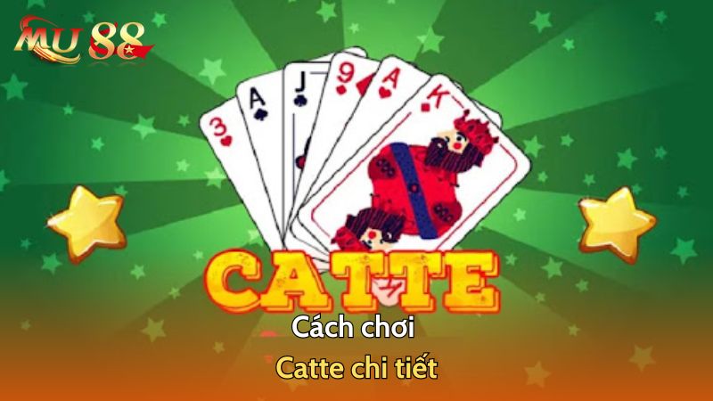 Cách chơi Catte chi tiết